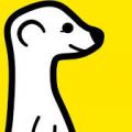 meerkat logo