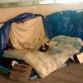 An elaborate outdoor sleeping encampment on a Toronto sidewalk. A cardboards sig