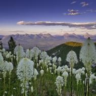 Image: Garth Lenz, Canadian Parks and Wilderness Society