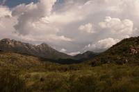  Santa Rita Mountains. Flickr/Mike Chapman