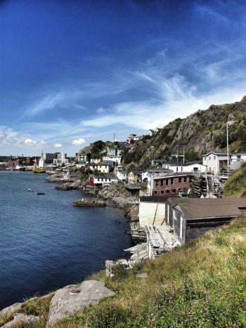 A case of Orange crush, Newfoundland style? 