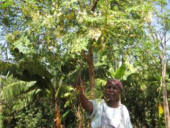 Africa's women-driven agriculture movement a blueprint for a brighter future 