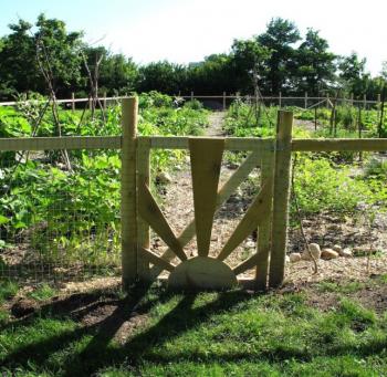 DIY projects: How to start a community garden 