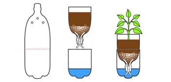 Student food budget? There's a container garden for that!